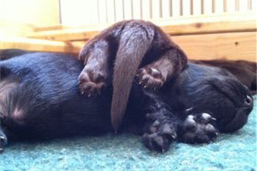 senaste nytt bild med flat