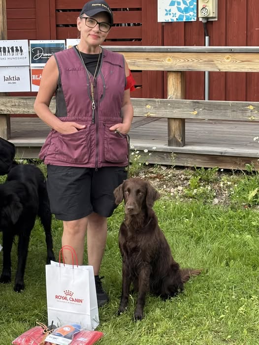 Sort Guld Leia Organa